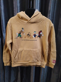 Pull Disney à capuche